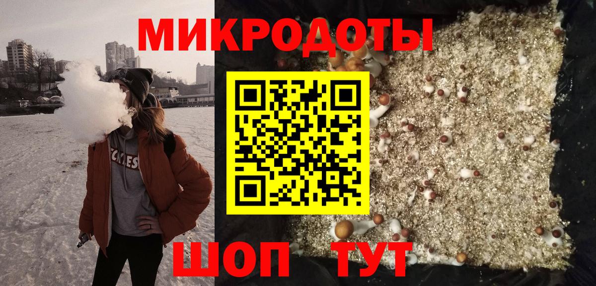 Кольчугино  Галлюциногенные грибы Psilocybe  Вход с VPN 